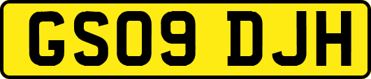GS09DJH