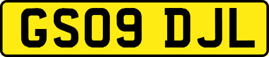 GS09DJL