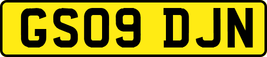 GS09DJN