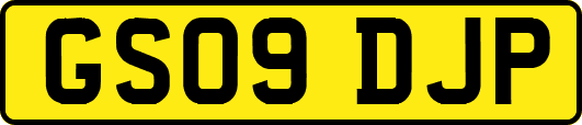 GS09DJP
