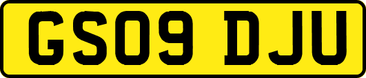 GS09DJU