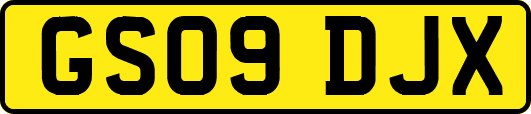 GS09DJX