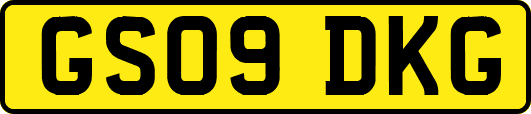 GS09DKG
