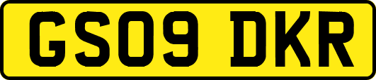 GS09DKR