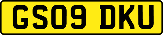 GS09DKU