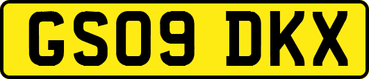 GS09DKX