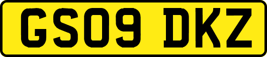 GS09DKZ