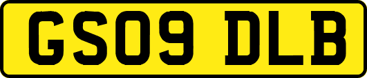 GS09DLB