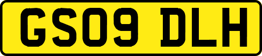 GS09DLH