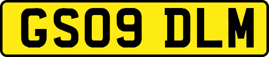 GS09DLM