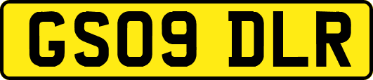 GS09DLR