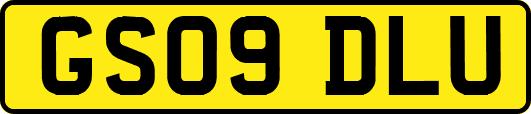 GS09DLU