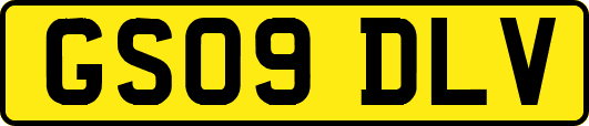 GS09DLV