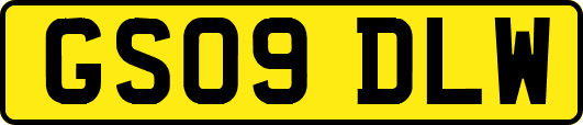 GS09DLW