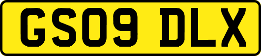 GS09DLX