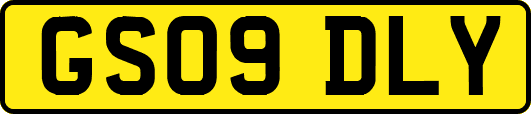 GS09DLY