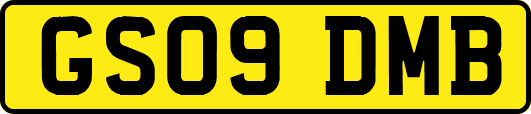 GS09DMB