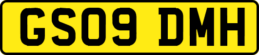 GS09DMH