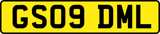 GS09DML