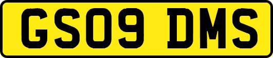 GS09DMS
