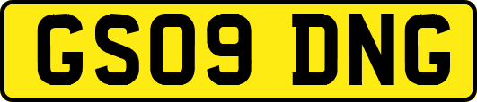 GS09DNG