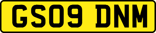 GS09DNM