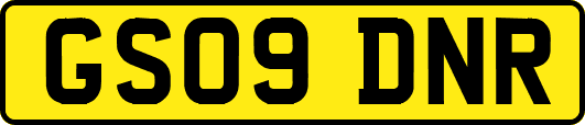 GS09DNR