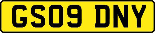 GS09DNY