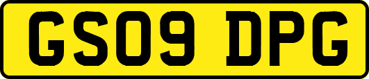 GS09DPG