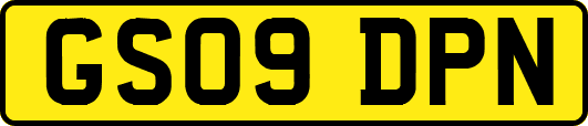 GS09DPN