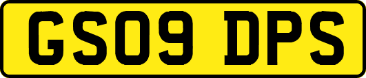GS09DPS