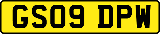 GS09DPW