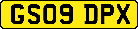 GS09DPX