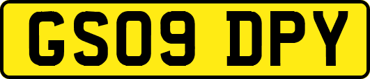 GS09DPY