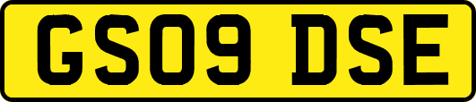 GS09DSE