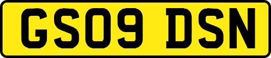 GS09DSN