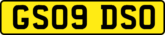 GS09DSO