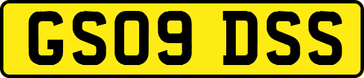 GS09DSS