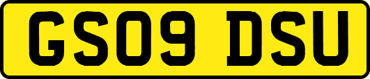 GS09DSU