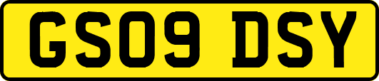 GS09DSY