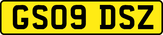 GS09DSZ
