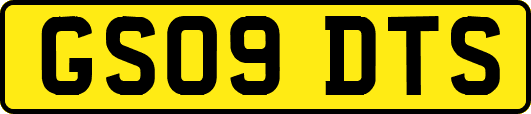 GS09DTS