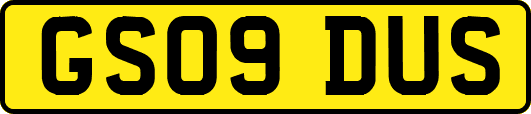 GS09DUS