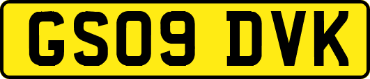 GS09DVK