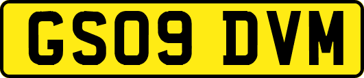 GS09DVM