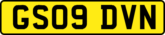 GS09DVN