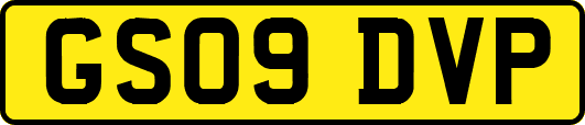 GS09DVP