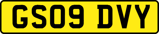 GS09DVY