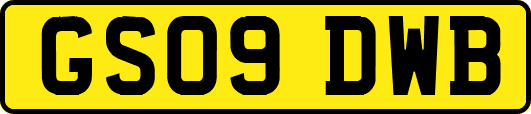 GS09DWB