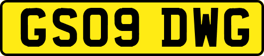 GS09DWG
